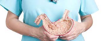 Gastroenterology.jpg